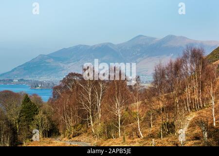 Piccolo yacht bianco in una giornata estiva, Ullswater, Lake District Foto Stock