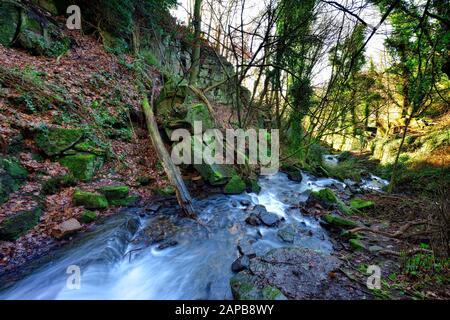 Bentley Brook,l'acqua,Lumsdale Valley,,Matlock Derbyshire,Peak District,l'Inghilterra,UK Foto Stock