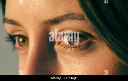 gli occhi di una donna piuttosto giovane alla luce del sole Foto Stock