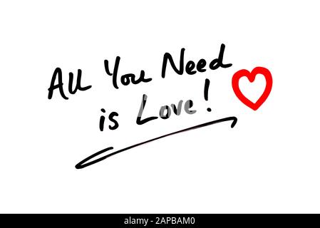 Primo piano della frase Tutto Ciò Di Cui Hai Bisogno È Amore! scritto a mano su sfondo bianco. Foto Stock