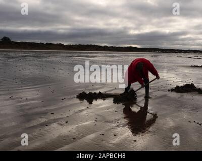 Un uomo esca scavando sulla spiaggia Foto Stock