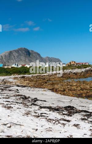 Betty'S Bay, Western Cape, Sud Africa. Dicembre 2019. Montagne, proprietà e la spiaggia di Betty's Bay sul percorso giardino in Sud Africa. Foto Stock