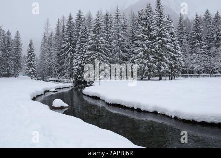 Il flusso freddo scorre tranquillamente nel prato innevato Foto Stock