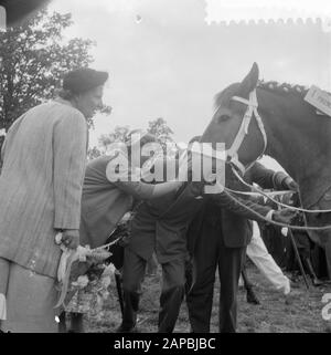 Visita Di sua Maestà e Beatrix a Markelo Descrizione: Interesse della Regina Juliana e della Principessa Beatrix per il premiato cavallo Data: 29 Agosto 1957 Ubicazione: Markelo Parole Chiave: Visite reali Nome personale: Beatrix (principessa Olanda), Juliana (regina Olanda) Foto Stock