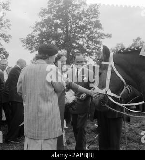 Visita Di sua Maestà e Beatrix a Markelo Descrizione: Interesse della Regina Juliana e della Principessa Beatrix per il premiato cavallo Data: 29 Agosto 1957 Ubicazione: Markelo Parole Chiave: Visite reali Nome personale: Beatrix (principessa Olanda), Juliana (regina Olanda), Juliana (principessa Olanda) Foto Stock