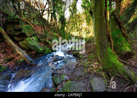 Bentley Brook,l'acqua,Lumsdale Valley,,Matlock Derbyshire,Peak District,l'Inghilterra,UK Foto Stock