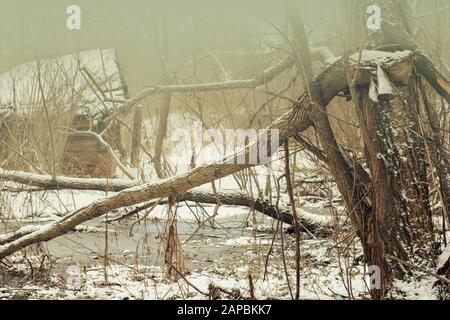 paesaggio invernale o primaverile disgelo albero rotto abbandonato casa acqua ruscello e neve fonde nebbia. Paesaggio naturale. Foto Stock