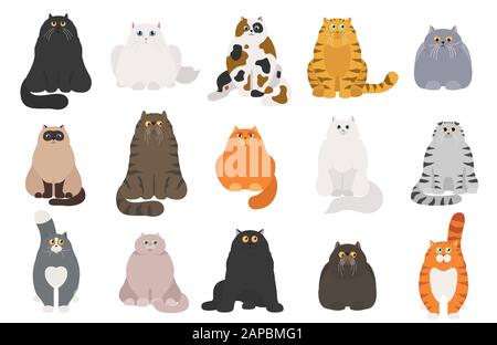Poster Cat. Collezione di personaggi dei cartoni animati. Diverso gatto`s pose ed emozioni impostate. Design semplice a colori. Illustrazione del vettore Illustrazione Vettoriale