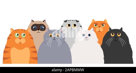 Poster Cat. Collezione di personaggi dei cartoni animati. Diverso gatto`s pose ed emozioni impostate. Design semplice a colori. Illustrazione del vettore Illustrazione Vettoriale