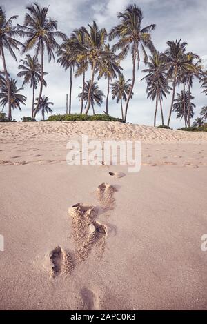 Palme da cocco in spiaggia con impronte sulla sabbia, tonificante colore applicato. Foto Stock