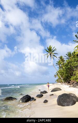 Una giovane donna che cammina lungo una spiaggia tropicale incontaminata ombreggiata con palme sulle remote Isole Corn del Nicaragua Foto Stock