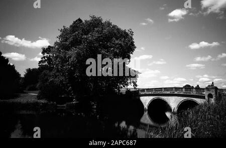 giardini di casa signorile inghilterra uk - girato su film bianco e nero Foto Stock