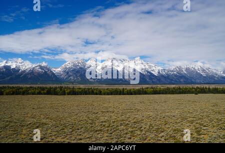 Una foresta di pini spessi che crescono vicino al fiume crea una linea orizzontale che corre di fronte al Grand Tetons. Foto Stock