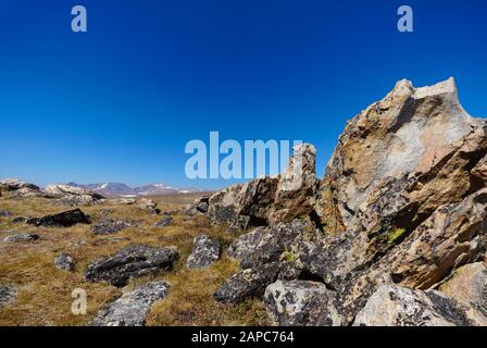 Formazioni rocciose insolite e colorate sono sparse in cima al Beartooth Pass di quasi 11.000 piedi Foto Stock