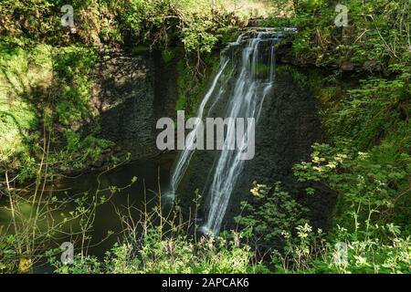 La cascata Aysgill Force vicino a Gayle, North Yorkshire, Inghilterra, Regno Unito Foto Stock