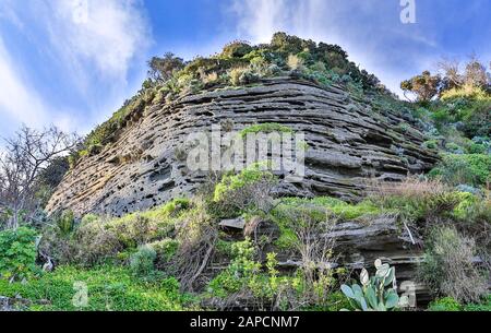 Tufo grigio con piante del Mediterraneo. Foto Stock