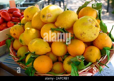 limoni bio biologici freschi provenienti dall'italia Foto Stock