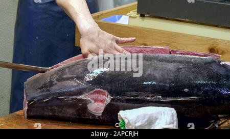 primo piano di un lavoratore un taglio di tonno intero al mercato del pesce di tsukiji a tokyo Foto Stock