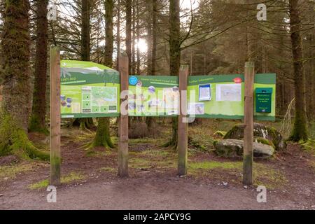 Queen Elizabeth Forest Park informazioni bordo a Loch Ard, vicino Aberfoyle, Scozia, Regno Unito Foto Stock
