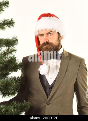 Manager con barba si prepara per Natale. Uomo d'affari con faccia seria porta vicino albero di Natale. Uomo in abito classico e cappello di Santa su sfondo bianco. Concetto di vacanza d'affari e d'inverno Foto Stock