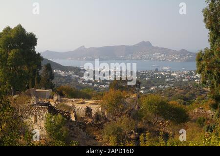 Giornata di sole con nuvole nel campo con un thistle secco dalle temperature estive. Foto Stock