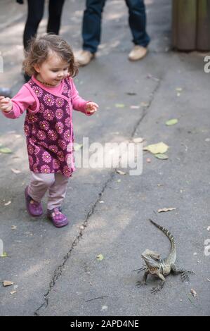 Giovane ragazza che guarda un drago australiano dell'acqua orientale (Physignathus lesueurii), Lone Pine Koala Sanctuary, Brisbane, Queensland, Australia Foto Stock