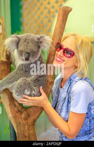 Felice donna turistica tocca un orso koala, Phascolarctos cinereus, sul tronco di eucalipto. Incontro con l'animale marsupiale australiano in Australia. Koala Foto Stock