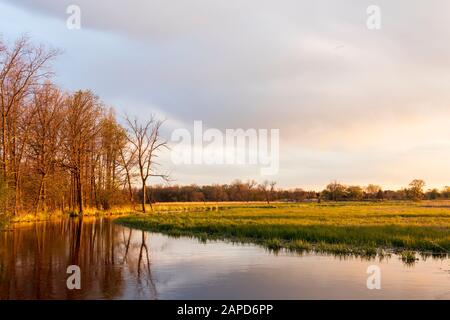 Alberi a riflessione all'alba sul fiume Fox a Brookfield, Wisconsin Foto Stock