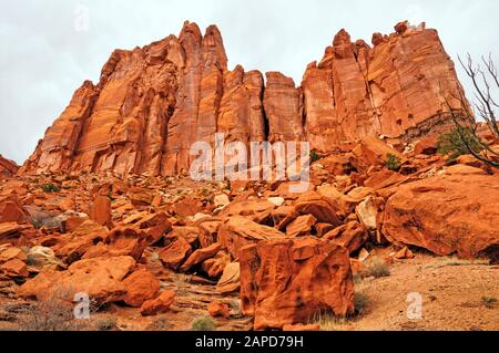 La molla Canyon in Capital Reef National Park nello Utah Foto Stock