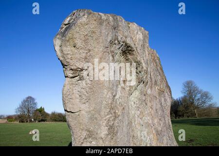 Pietra in piedi di sarsen - parte del neolitico cerchio di pietra monumento a Avebury, Wiltshire. Foto Stock