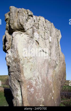 Pietra in piedi di sarsen - parte del neolitico cerchio di pietra monumento a Avebury, Wiltshire. Foto Stock