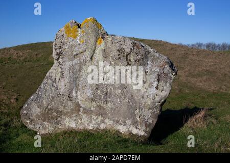 Sarsen pietra che ricorda un coniglio a Avebury, Wiltshire. Foto Stock