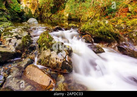 Cascate e cascate sul ruscello o ruscello di montagna, tra rocce mossy nel Parco forestale di Tollymore in autunno, Newcastle, County Down, Irlanda del Nord Foto Stock
