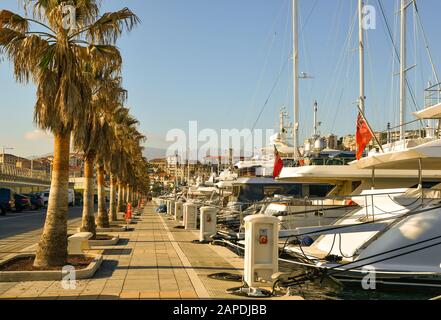 Yacht di lusso ormeggiato al molo con una fila di palme nel porto di Porto Maurizio in una giornata di sole, Riviera dei Fiori, Imperia, Liguria, Italia Foto Stock