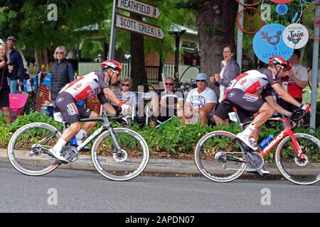 I piloti che competono nella fase 2 del Tour 2020 Si Trovano Sotto Stirling nelle colline di Adelaide in Australia. Il vincitore del palco è stato Caleb Ewan (AUS) Foto Stock