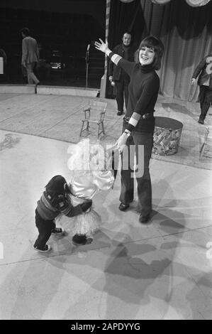 Gli artisti suonano con canzoni circensi al National Song Contest di Carré, Amsterdam; durante le prove Lenny Kuhr con scimmie Data: 15 febbraio 1972 luogo: Amsterdam, Noord-Holland Parole Chiave: Scimmie, artisti, circhi Nome personale: Kuhr, Lenny Institution Nome: National Song Contest Foto Stock