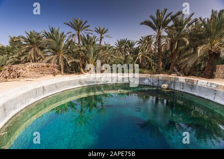 Siwa Oasis, Cleopatra Spring, Siwa, governatorato di Marsa Matrouh, Egitto, nord Africa, Africa Foto Stock