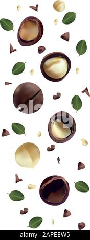 Noci macadamia isolato su sfondo bianco. Noci sgusciate e sgusciate con foglie verdi. Gustosi noci di macadamia. Macadamia organica. Bella illustrazione. Illustrazione Vettoriale