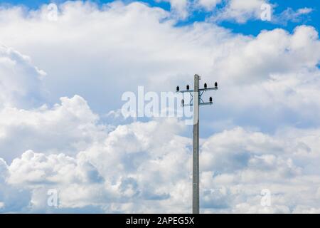 Palo elettrico in sfondo blu cielo e nube bianca. Foto Stock