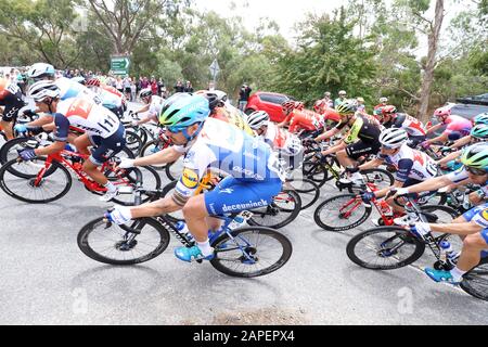 Adelaide Hills, Australia. 23 Gennaio 2020. Eventuale vincitore Richie Porte (AUS) del Trek-Segafredo (USA) Team (a sinistra, numero 11) sulla tappa 3 del Tour Giù Sotto gara ciclistica passando attraverso l'area di Houghton delle colline di Adelaide in Australia. Credit: Russell Mountford/Alamy Live News. Foto Stock