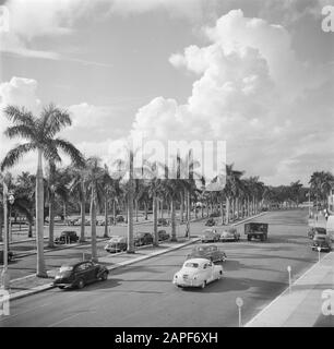 Reportage Miami Descrizione: Boulevard in Miami Data: 1948 Località: Miami, USA Parole Chiave: Automobili, paesaggio urbano Foto Stock