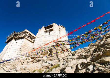 Bandiere di preghiera e Tempio di Tsemo Maitreya, anche Namgyal Tsemo Gompa, o monastero di Namgyal Tsemo, Leh, Ladakh, india, Asia meridionale, Asia Foto Stock