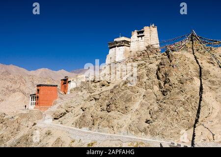 Tempio Di Tsemo Maitreya, Anche Namgyal Tsemo Gompa, O Monastero Di Namgyal Tsemo, Leh, Ladakh, India, Asia Meridionale, Asia Foto Stock