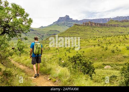 Un uomo escursionistico godendo della vista dell'Anfiteatro e del Casco Di Polizia formazione rocciosa, montagne Drakensberg, Royal Natal National Park, Sou Foto Stock