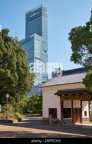 Osaka, GIAPPONE - 16 OTTOBRE 2019: Abeno Harukas - il grattacielo più alto del Giappone visto dal parco Tennoji. Osaka Foto Stock