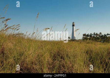 Spiaggia della Florida Foto Stock