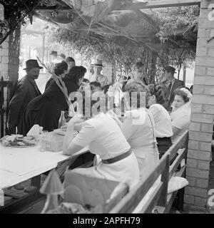 Israele 1948-1949: Matrimoni a Lag BaoMer Descrizione: Nozze ospiti e la sposa (r) ad un tavolo, presumibilmente in Haifa Annotazione: Lag BaoMer (anche Lag Baomer, Lag BaoMer, Lag B'Omer) è un giorno in cui tradizionalmente molti matrimoni sono conclusi Data: 1948 posizione: Haifa, Israele Parole Chiave: Matrimoni, matrimoni, matrimoni, festività religiose Foto Stock