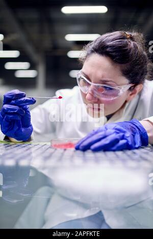 Giovane assistente di laboratorio donna con piatto Petri in mani su sfondo sfocato Foto Stock