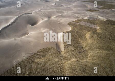 (200123) -- DAVOS, 23 gennaio 2020 (Xinhua) -- la foto scattata il 28 marzo 2019 mostra le barriere di sabbia sotto l'iniziativa della foresta di Ant nel deserto di Tengger, nella provincia di Gansu della Cina nordoccidentale. (Foresta Ant/Handout Via Xinhua) Foto Stock