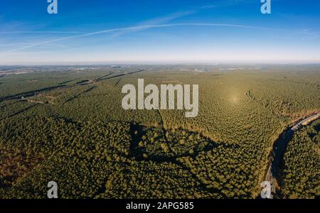 Foto drone della foresta di Grunheide, Berlino-Brandeburgo, fabbrica Tesla Giga Foto Stock